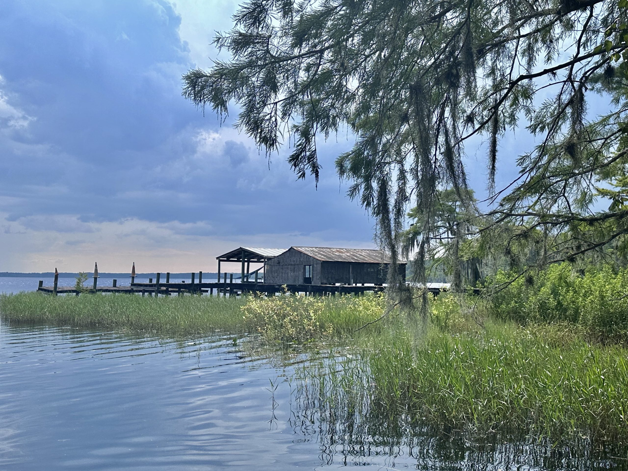 Discover the Hidden Beauty of Lake Disston – Florida